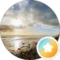 Sparky Avatar